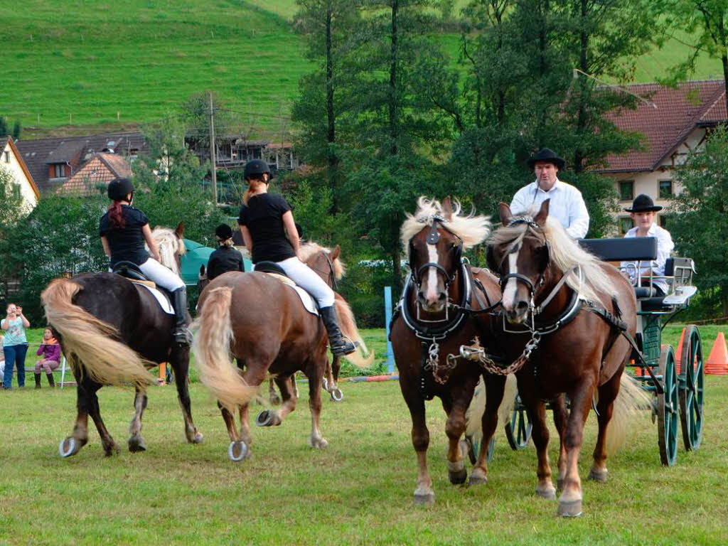 Impressionen vom Reit- und Fahrfest auf dem Faklerhof.