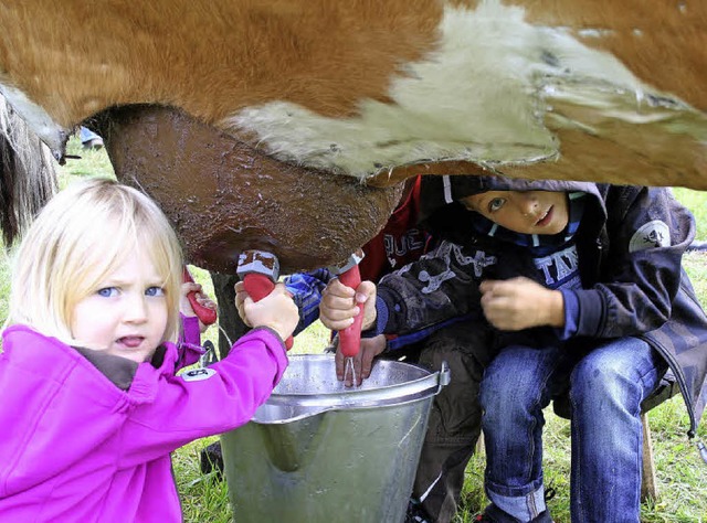 Landwirtschaft zum Anfassen &#8211; da... Kuh-Attrappe Kinder das Melken ben.   | Foto: Gerd Sutter