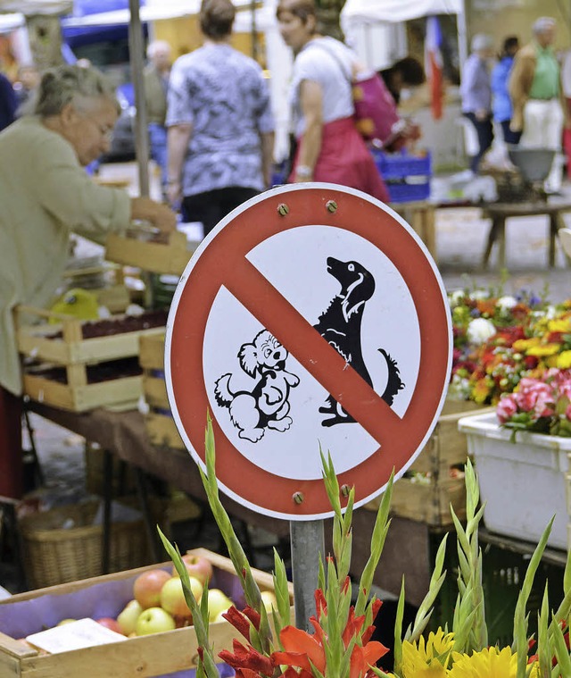 Marktverbot fr Hunde  | Foto: Vogt