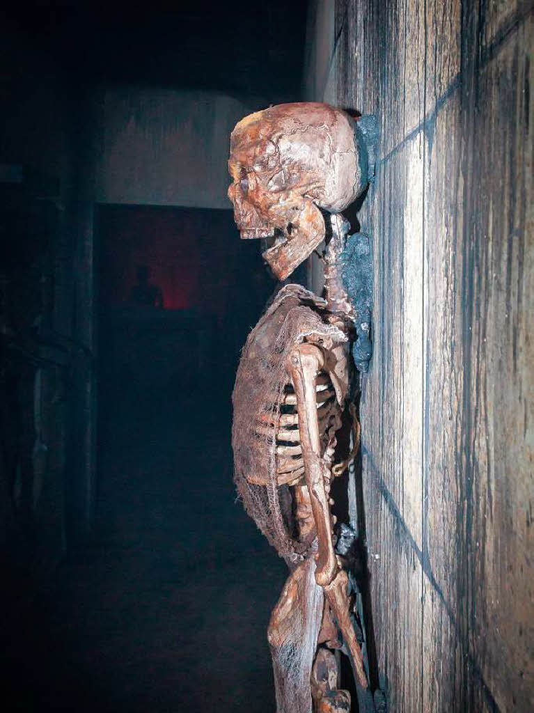 Horror-Nights im Europa Park Horror-Nights im Europa Park
