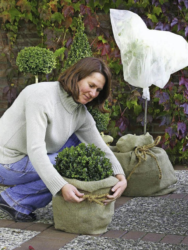 Gut eingepackt knnen manche Kbelpflanzen im Freien berwintern.   | Foto: Floragard
