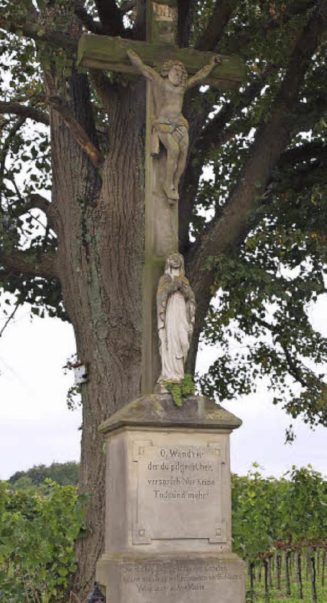 Ein Kleindenkmal ist beispielsweise da...Ziebold-Linde in den Hecklinger Reben.  | Foto: Michael Haberer