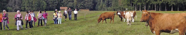 Viel zu sehen gab es bei den Wandertou...und um Biederbach fr Tier und Mensch.  | Foto: Kurt Meier