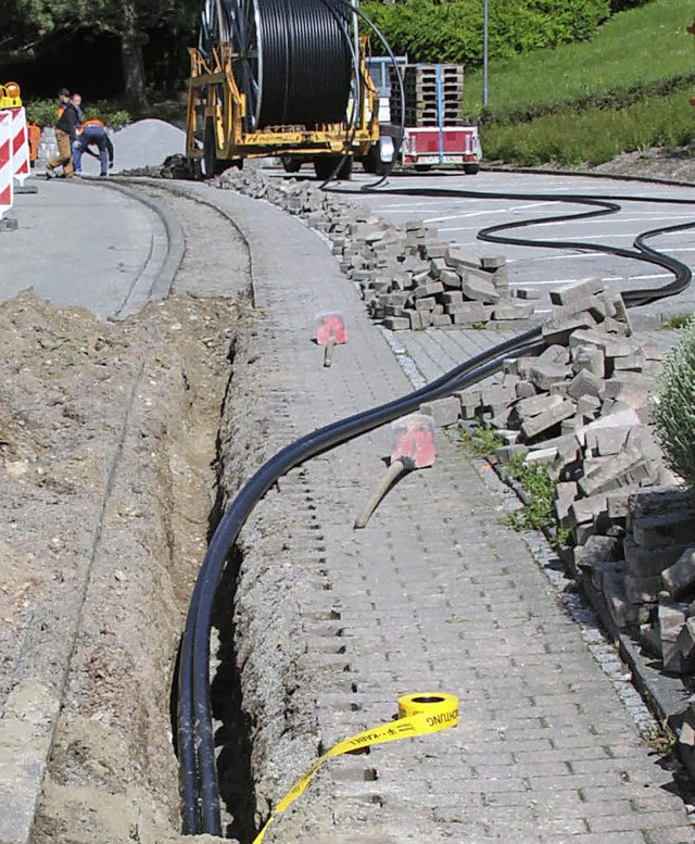 Der Anschluss ans schnelle Internetnet...lich, in Dachsberg wre sie es nicht.   | Foto: Chris Seifried