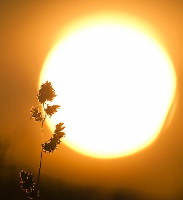Der Stand der Sonne war Thema in der S... Technischen Ausschusses am Dienstag.   | Foto: Arno Burgi/dpa