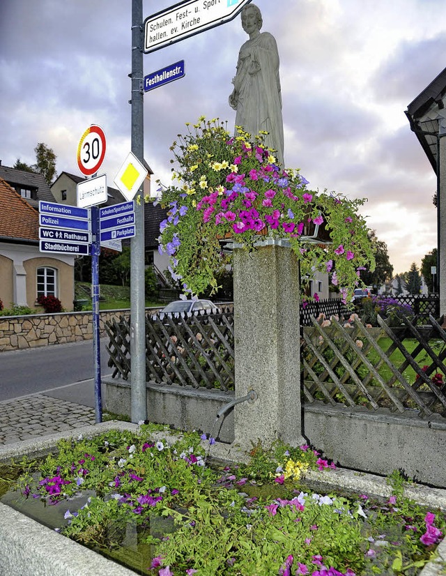 Im  Brunnen in der Oberen Hauptstrae ...schwimmen herausgerissene Pflanzen.     | Foto: Philippe Thines