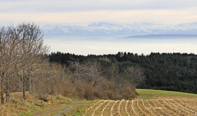 Ob die Teilnehmer des Panoramalaufes a...hwand den Teilnehmern auf alle Flle.   | Foto: Cornelia Liebwein