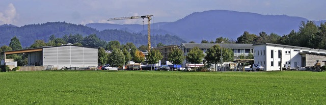 Das Stegener Gewerbegebiet soll erweit...Ausgleich in Form von Naturprojekten.   | Foto: Christian John