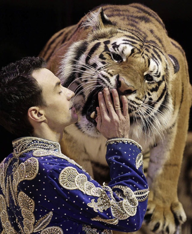 Star-Dompteur Christian Walliser mit Tiger  | Foto: Circus Montana