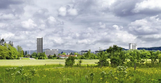 Der Wohnturm mit dem Verkaufstitel &#8...nur in Riehen sieht man das kritisch.   | Foto: Barbara Ruda / Animation: Wohnbau