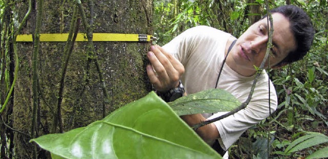 Forscherin im Yasuni-Nationalpark in Ecuador   | Foto: DPA