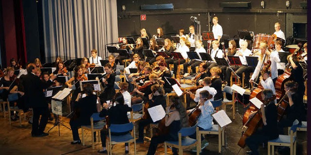 Das Symphonieorchester der Musikschule...erland unter Leitung von Ingo Balzers.  | Foto: Hartenstein