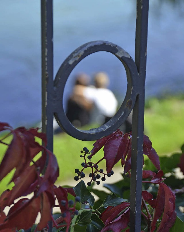 Die Bltter frben sich schon rot, die...lmhlich rar: Herbst in Bad Sckingen   | Foto: Svenja Groschupp