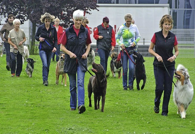 Die Bad Sckinger Hundefreunde beim Gruppentraining   | Foto: BZ