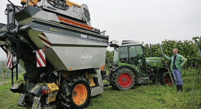 Die Familie Haler hat ihre Rebstcke ...22;vollerntergerecht&#8220; angelegt.   | Foto: Hlter-Hassler