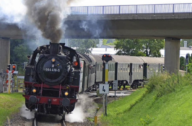 Riegel. Der Rebenbummler bei Riegel.  | Foto: Roland Vitt