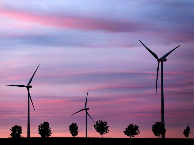 Laut Umfragen begren trotz der Koste...der Ausbau von Solar- und Windenergie.  | Foto: dpa