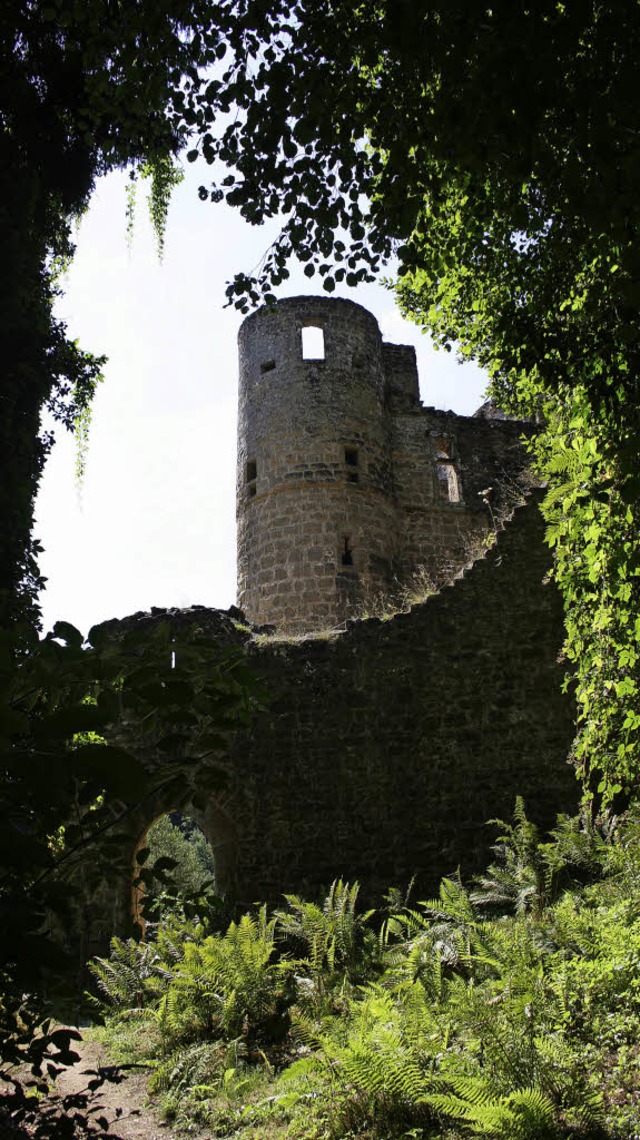 Stein auf Stein: Ringmauer, Wassergrab...escharten, Kanonen: Die Burg Beaufort  | Foto: Manuela Mller