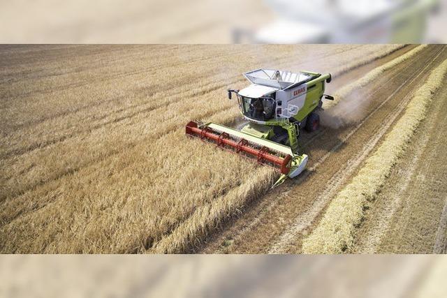 Landwirte erwarten leichtes Plus