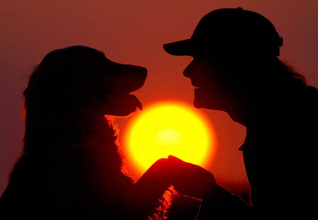 Spiel im Sonnenuntregang. Spiel im Sonnenuntregang.
