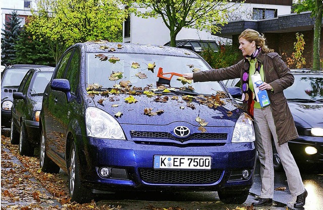 Laub auf dem Auto im Herbst  | Foto: Firmenmaterial BZ