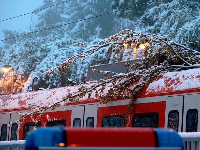 Umgestrzte Bume legen Bahnlinien lahm.  | Foto: dpa