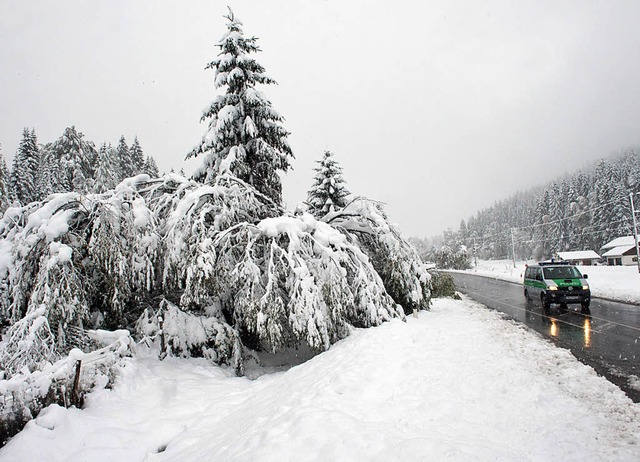 Der Schnee ist schwer &#8211; weshalb zahlreiche Bume umfielen.   | Foto: dpa