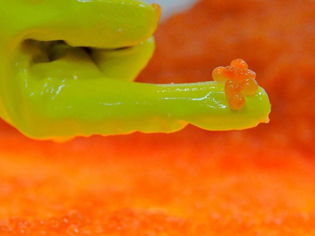 Ziemlich teure Eierchen &#8211; auch w...r roten Kaviar  krftig  gefallen ist.  | Foto: dpa