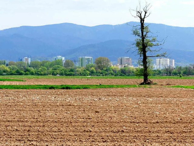 Der Acker am Stadtrand (hier Freiburg)...land fr die wachsende Kommune dienen.  | Foto: Schneider/Kunz