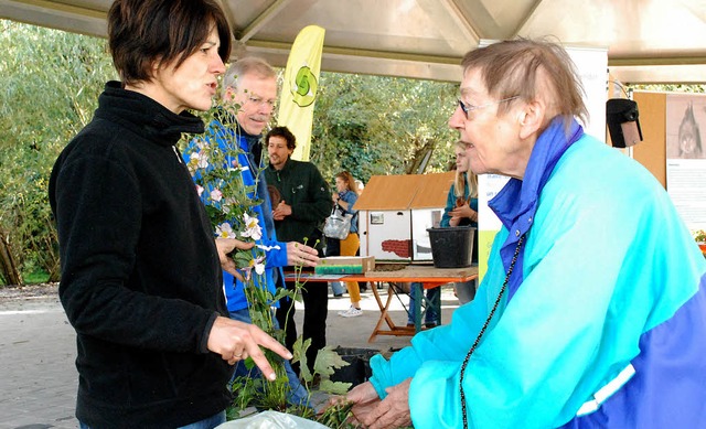 Ursula Philipps fachsimpelt mit einer Besucherin des Pflanzenflohmarkts.   | Foto: Maja Tolsdorf