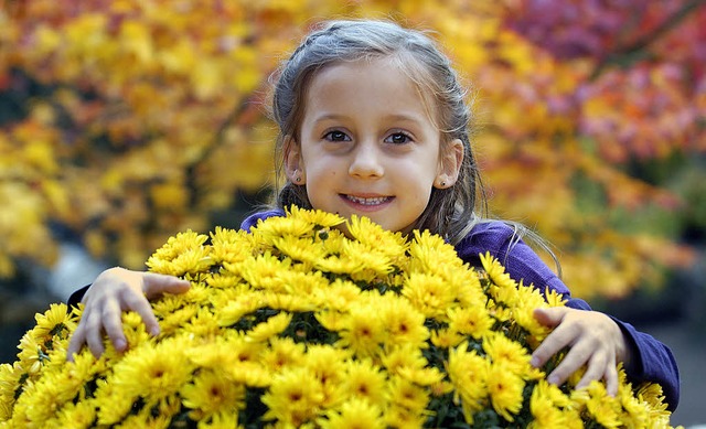 Da geht die Sonne auf:  Mit den Blumen...htet dieses Kind bei der Chrysanthema.  | Foto: veranstalter