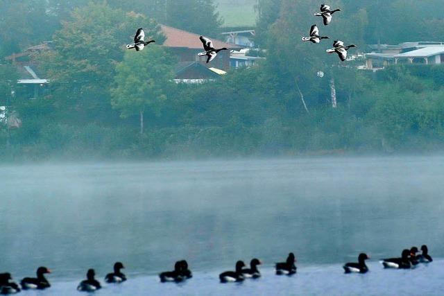 Ein grauer Herbst