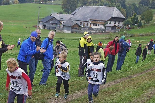 Jugendlicher Schwung im Ibacher Forst