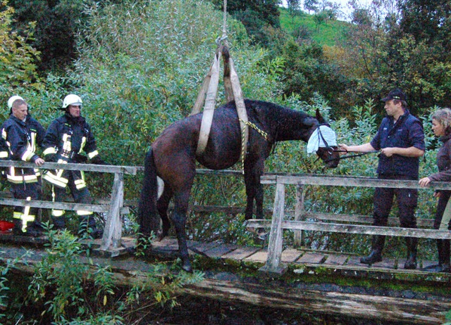 Mit viel Vorsicht wurde das verunglckte Pferd gerettet.   | Foto: c. Ringwald