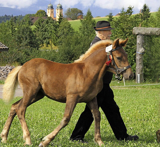   | Foto: Heinrich Fehrenbach