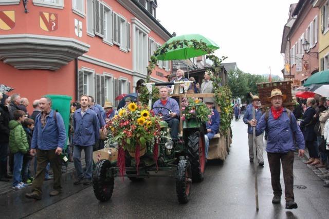 Fotos: Herbstausklang in Ihringen