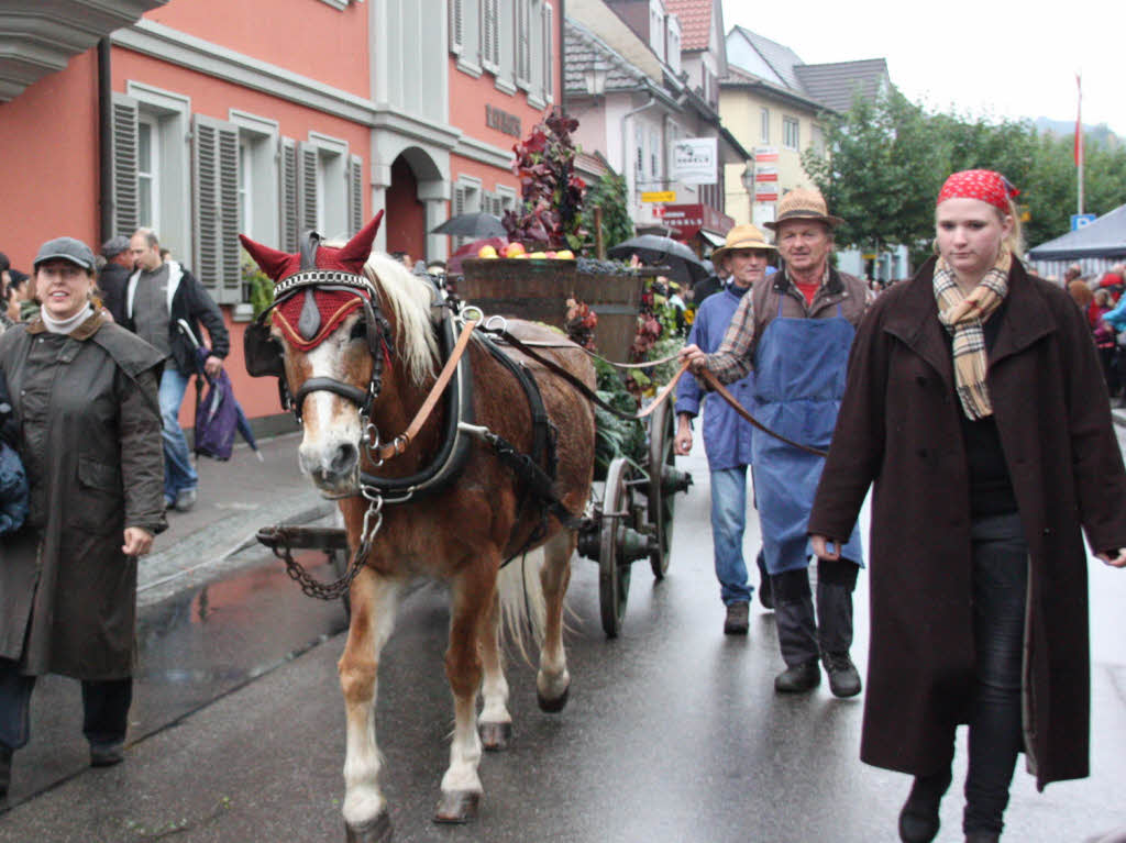 Am Sonntag herrschte in Ihringen beim Herbstausklang trotz Regenwetter gute Stimmung.