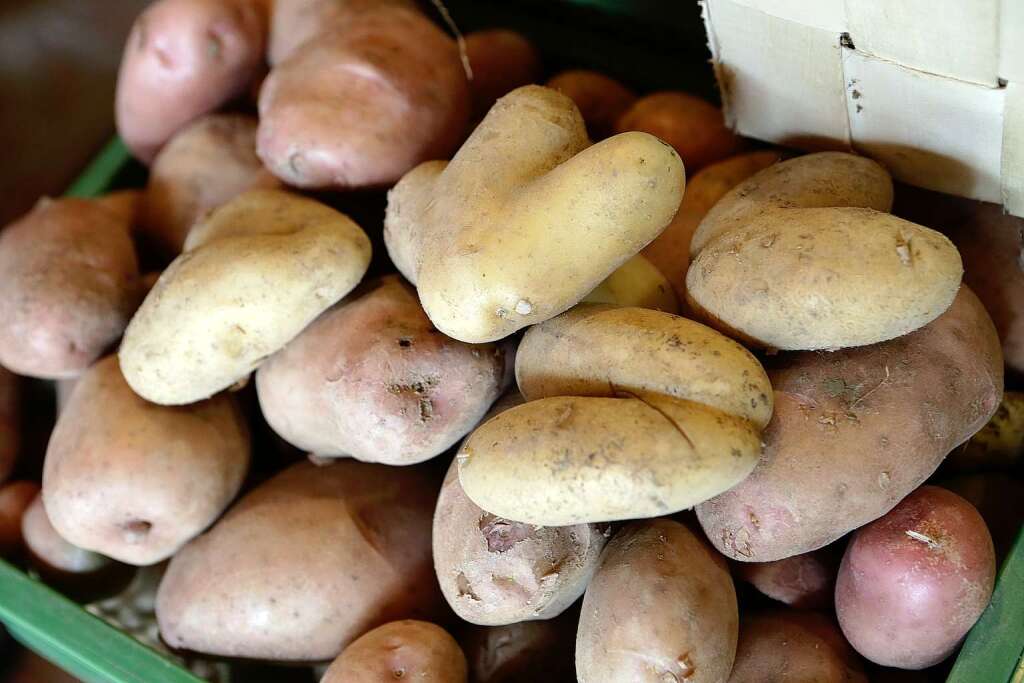Gut 180 Kartoffelsorten werden auf dem Lindenbrunnenhof angebaut. 