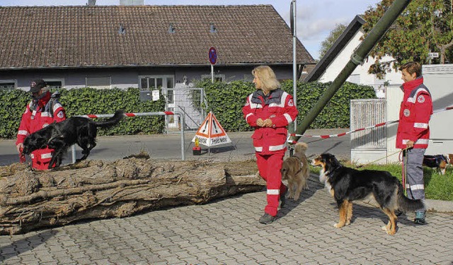 Auch die Mitglieder der Hundestaffel demonstrierten ihren Ausbildungsstand.   | Foto: Otmar Faller