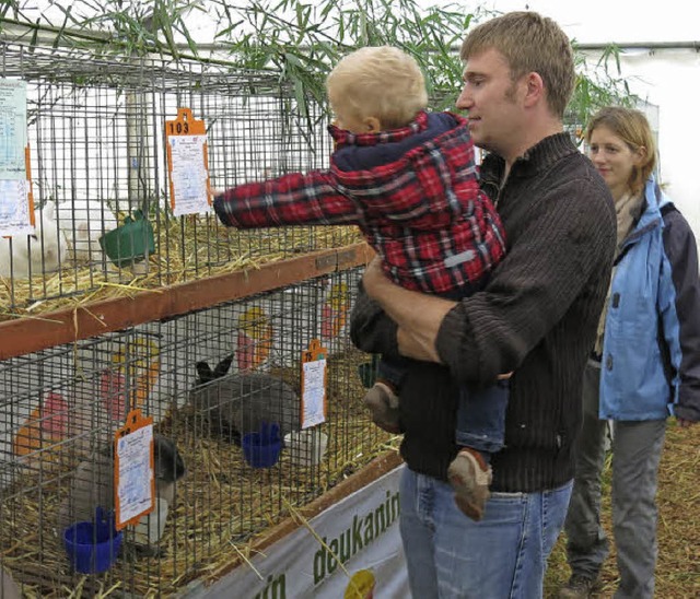 Interesse an Hasen bei Gro und Klein  | Foto: Georg Vo