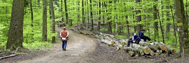 Wichtiger Holzlieferant, aber auch Ort...wird, erkennt der Spaziergnger kaum.   | Foto: Langelott