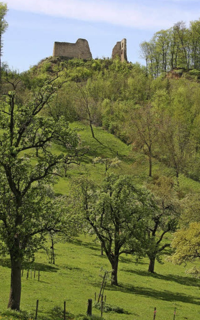 Steiler Anstieg, weiter Blick: Ob im F...e Schneeburg bei Freiburg lohnt sich.   | Foto: Silvia Faller