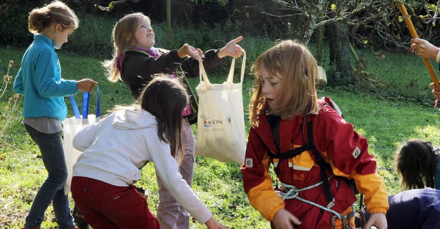 Fleiig waren die Schulkinder beim Auflesen der pfel.   | Foto: Frowalt janzer