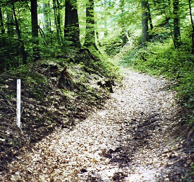 Den alten Zustand (links) werde die Ex... der  Forstweg (rechts) entlangfhrt.   | Foto: Privat