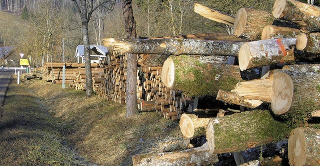 Der Holzverkauf brachte der Gemeinde W...noch einmal Thema im Gemeinderat war.   | Foto: Martin Wunderle