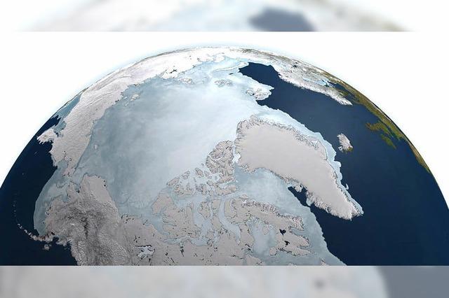 BADISCHE-ZEITUNG.DE: Arktis In Gefahr