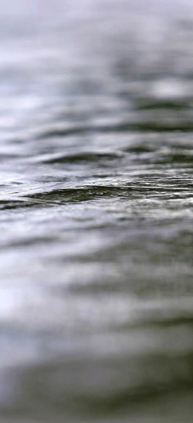 Baggersee Rohrlache: Wasser ist das groe Thema beim Comenius-Projekt.  | Foto: Patrik Mller