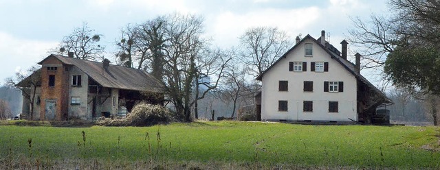 Wenn das Bssler-Gut zum ko-Zentrum  ... Stadt den Flchennutzungsplan ndern.  | Foto: Senf