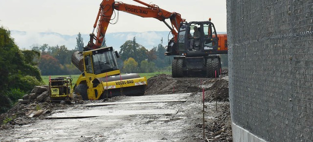 Der Radweg an der Zollfreien zur Hamme...nstieg. Ob da noch was zu machen ist?   | Foto: N. Trenz