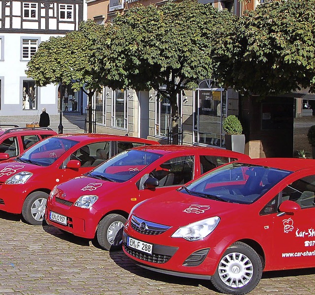 Der  Car-Sharing-Verein in Waldkirch s... Flotte mit gleichartigen Fahrzeugen.   | Foto: timm